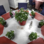 IMG_6748_49_50_tonemapped