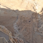 DSC_0022-(2).jpg