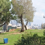 DSC_0044.jpg