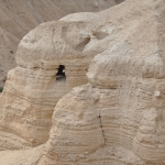 DSC_0091-(2).jpg